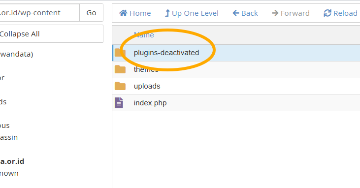 Tangkapan layar direktori wp-content di File Manager