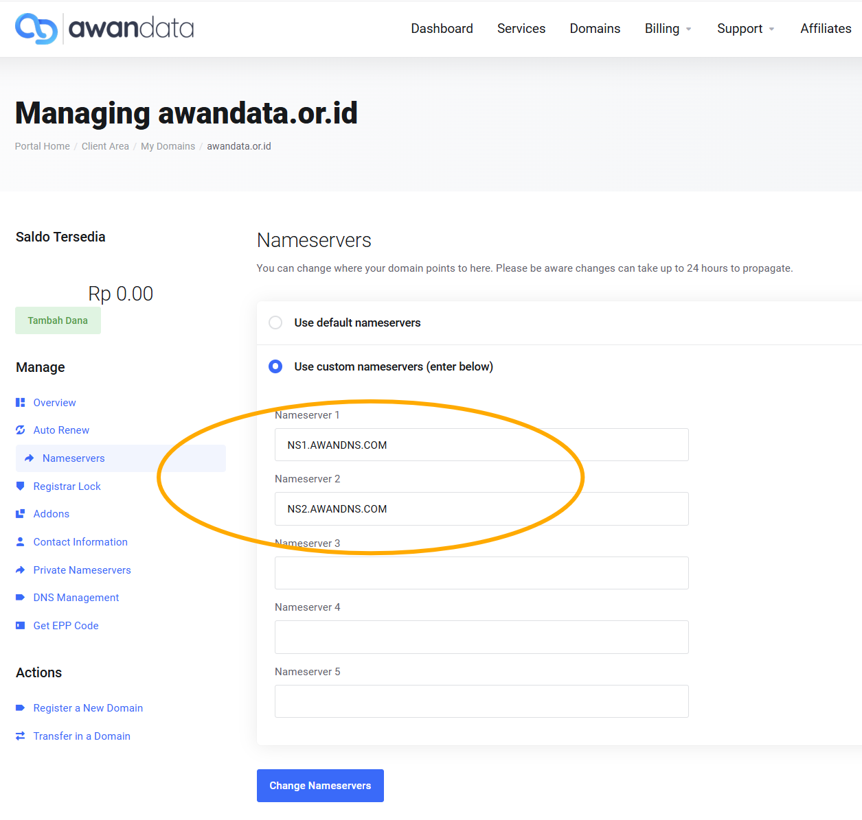 Tangkapan layar pengaturan DNS di registrar domain